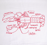 An illustration of a lobster with text showing its anatomy. It is red in a sketchy style.