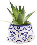 A planter shaped like a turtle. It is round with blue ornate designs around it. There is a green plant at the top of it.
