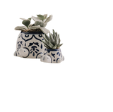 Two planters shaped like turtles. They are round with blue ornate designs around it. There is a green plant at the top of them. One is larger than the other one.