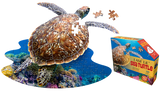 A puzzle that is shaped like a sea turtle. There are puzzle pieces missing from it and some next to its ear. Next to it is a puzzle box with text that says, "I Am Lil' Sea Turtle. Animal-shaped jigsaw puzzle. Poster size! 100 pieces. For ages 5+." There is a picture of a sea turtle on the side of the box with puzzle pieces coming out of it.