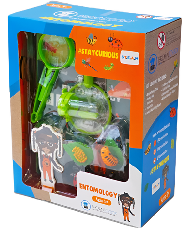 Entomology Steam Kit