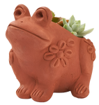 A terracotta frog planter. It is an orange material with a flower design on the side of its body, with green succulents on the top of it. 