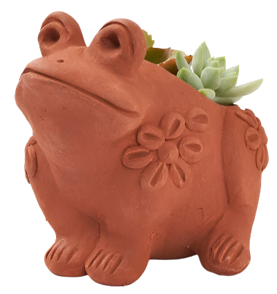 A terracotta frog planter. It is an orange material with a flower design on the side of its body, with green succulents on the top of it. 